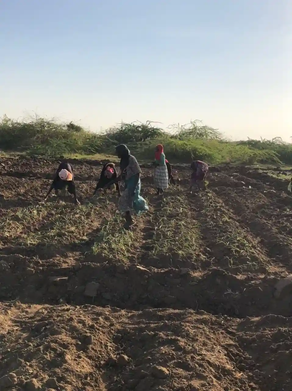 Local community empowered through technology transfer